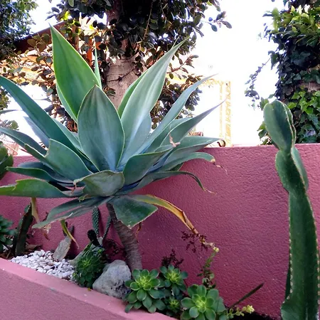 Boutique Bajio * El Pozo de los Frailes